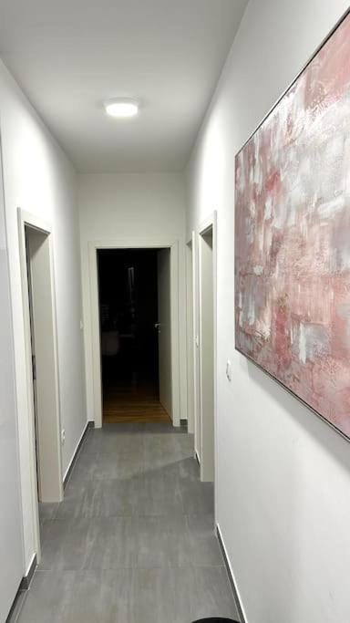 New Modern Accommodation In City Меткович Экстерьер фото